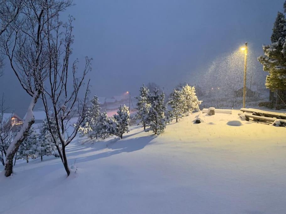 Leilighet I Rorbu Pa Kaldfarnes - Yttersia Senja Exterior foto